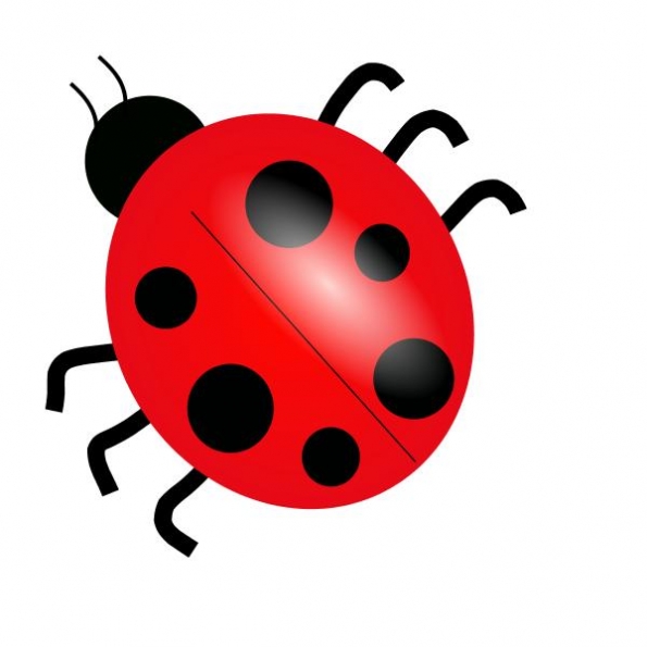 Bug clipart free download clip art on