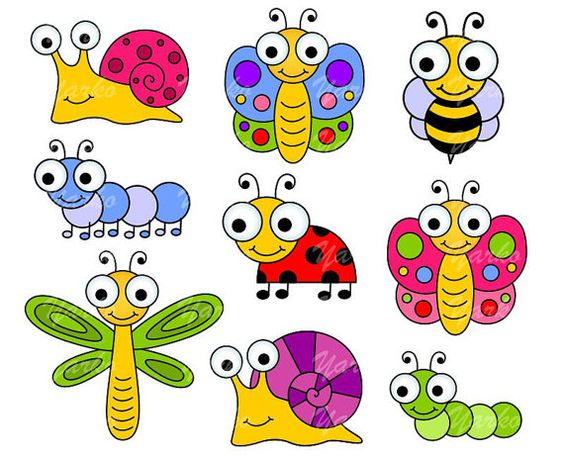 Bug snails insects and clip art on
