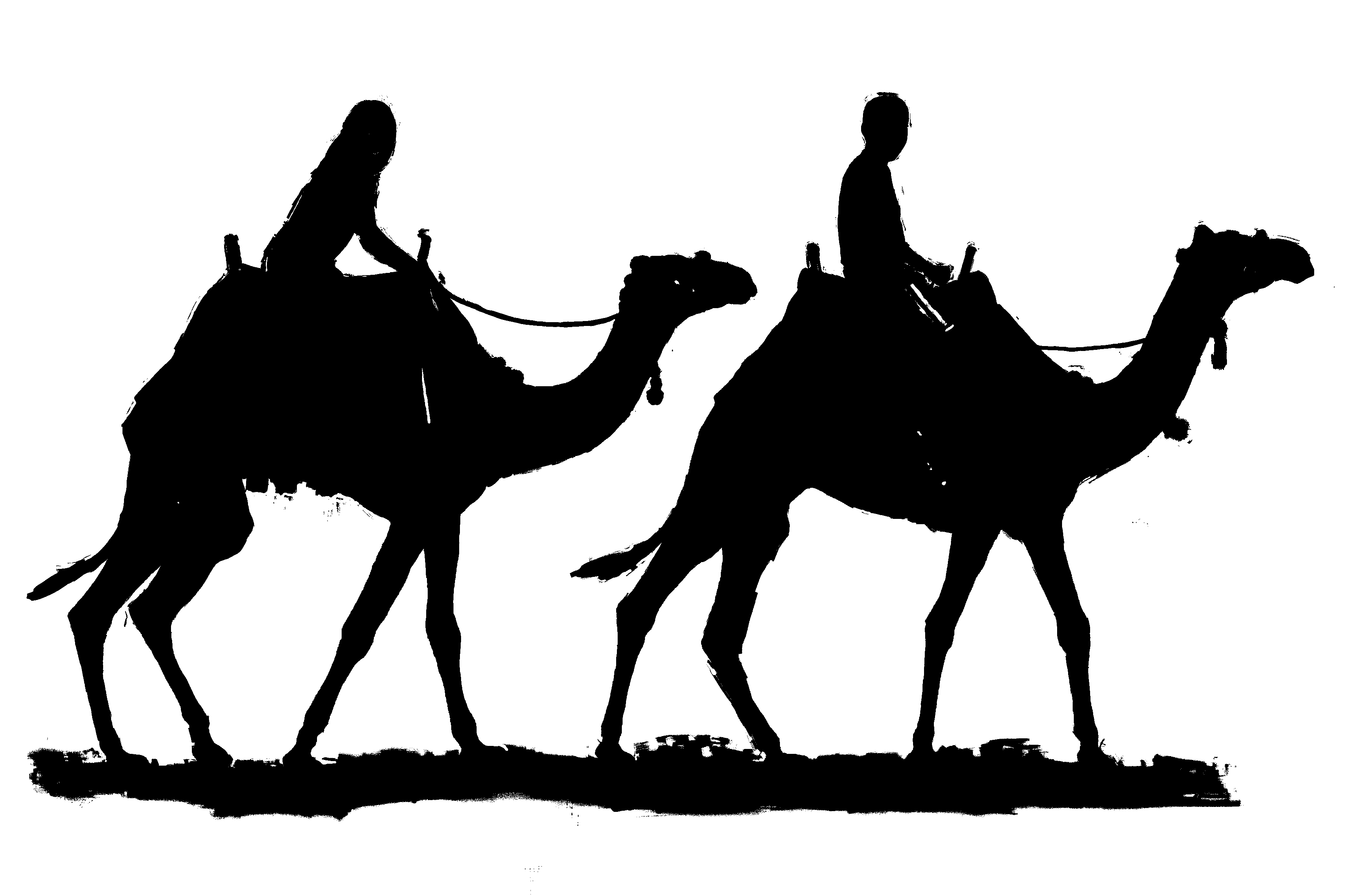 Camel clip art hostted