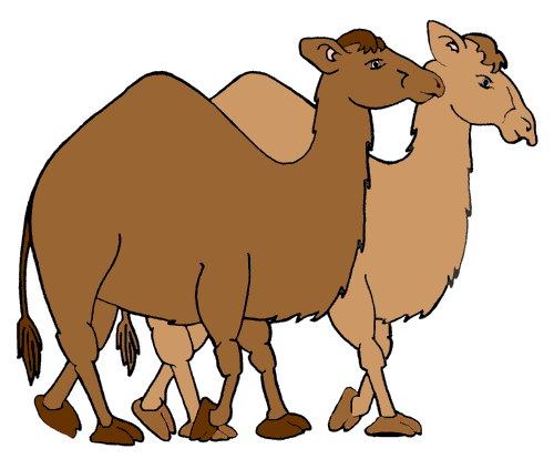 Camel clipart 2 image