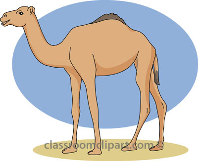 Camel clipart camel 2
