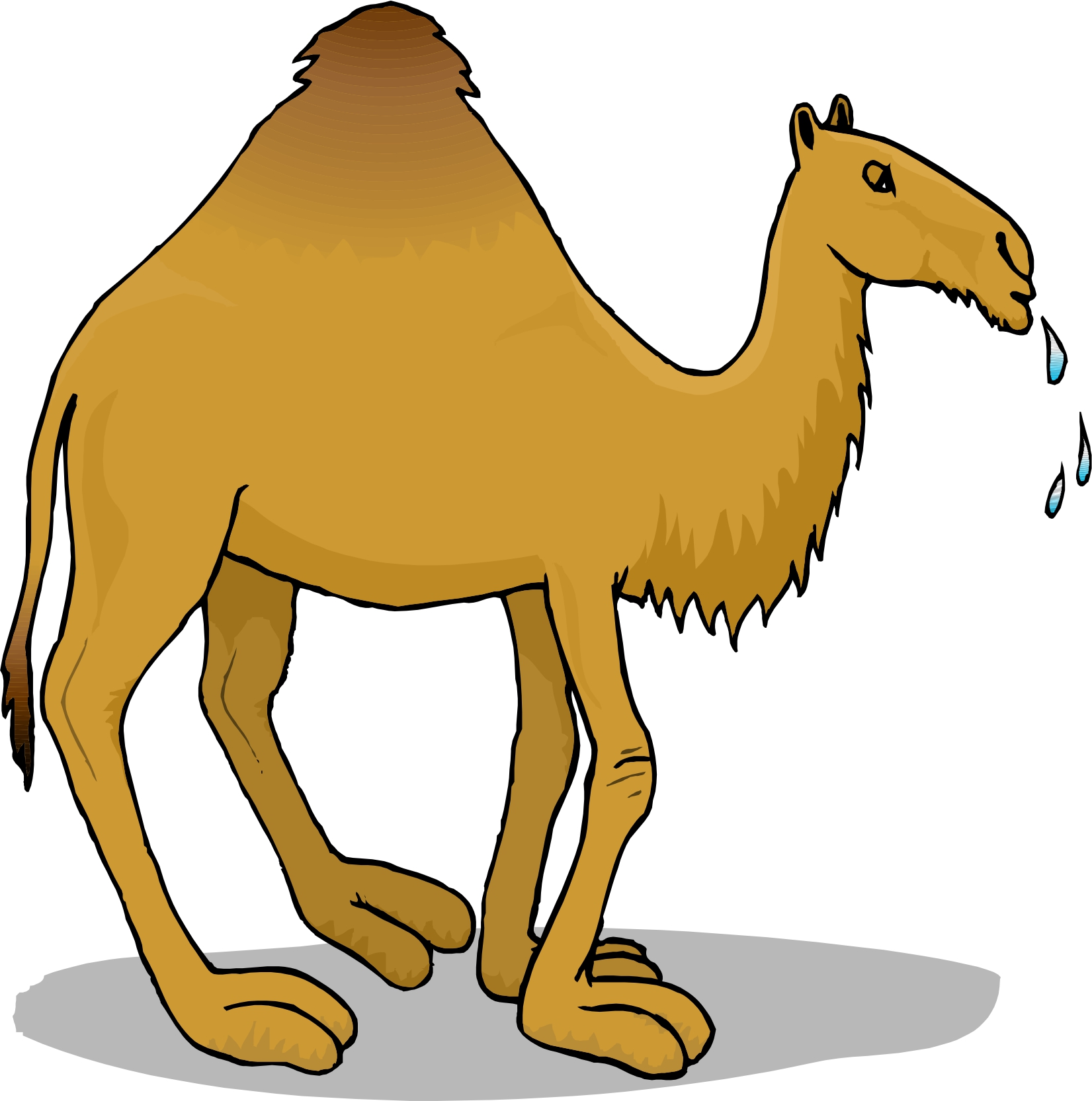 Camel clipart hostted 2