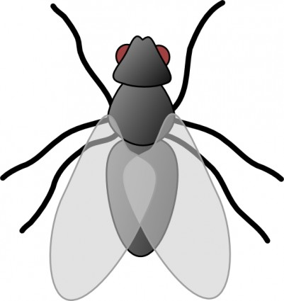 Clip art images of bugs in plants clipart kid