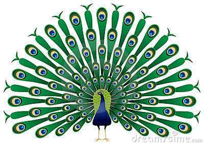 Clip art peacock clipartfest