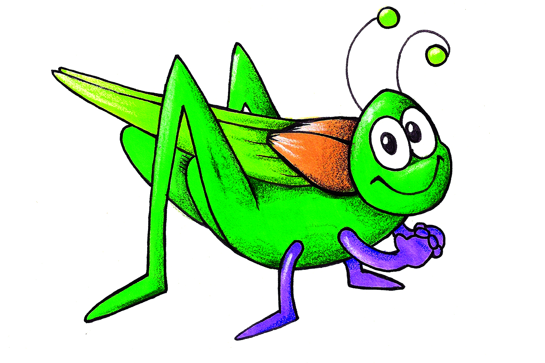 Cricket bug clipart
