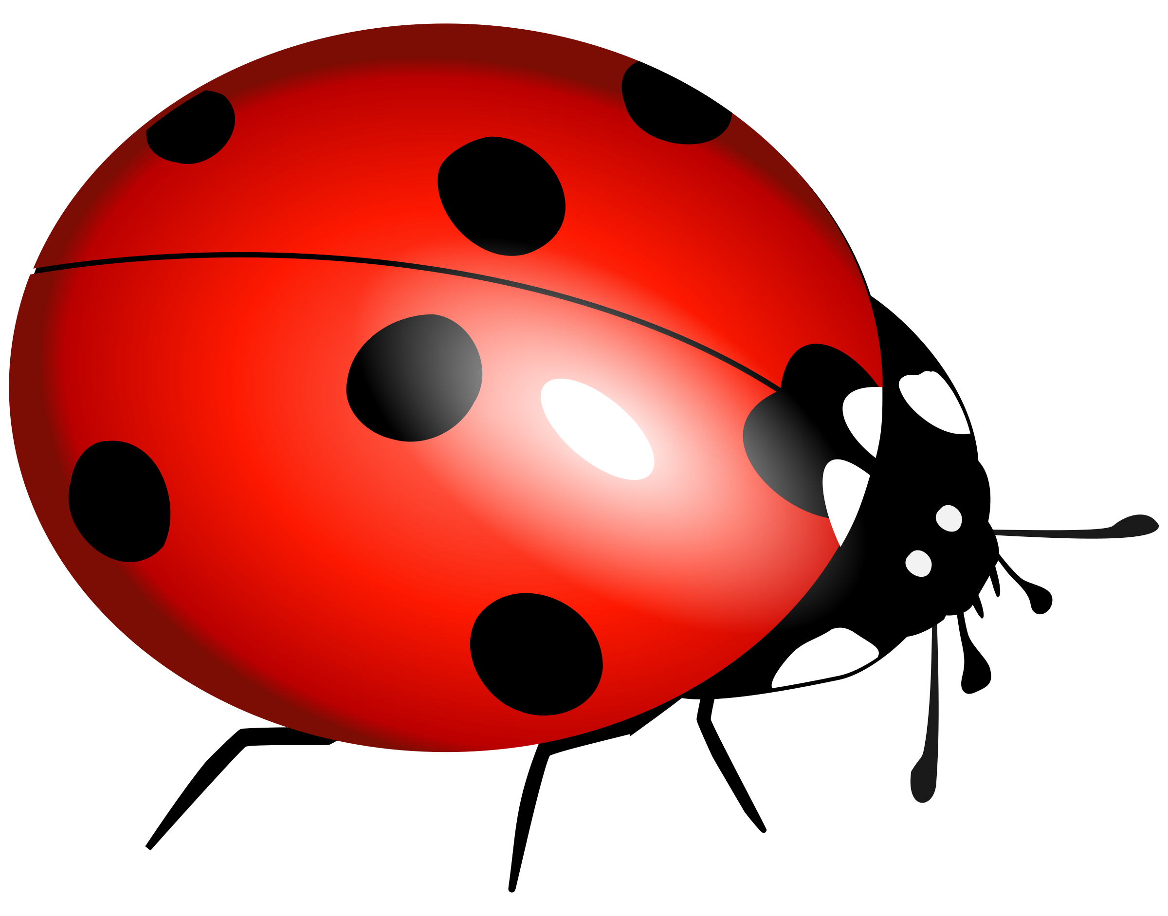 Download free bug clipart clipartmonk free clip art images