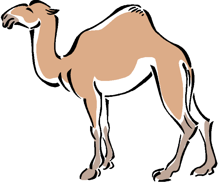 Free camel clipart 2