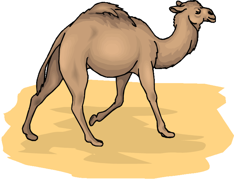 Free camel clipart 3