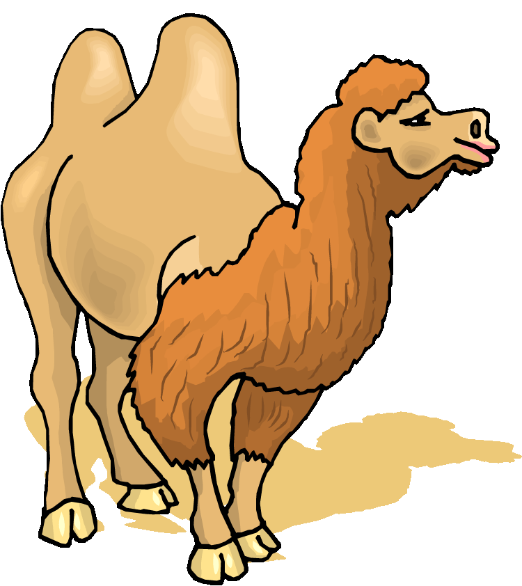 Free camel clipart 4