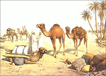 Free camels clipart graphics images and photos 2