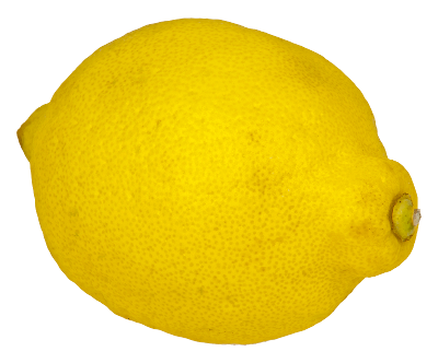 Free lemon clipart 1 page of public domain clip art