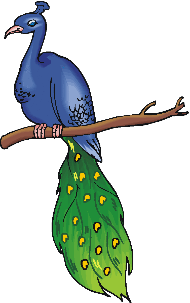 Free peacock clipart 3