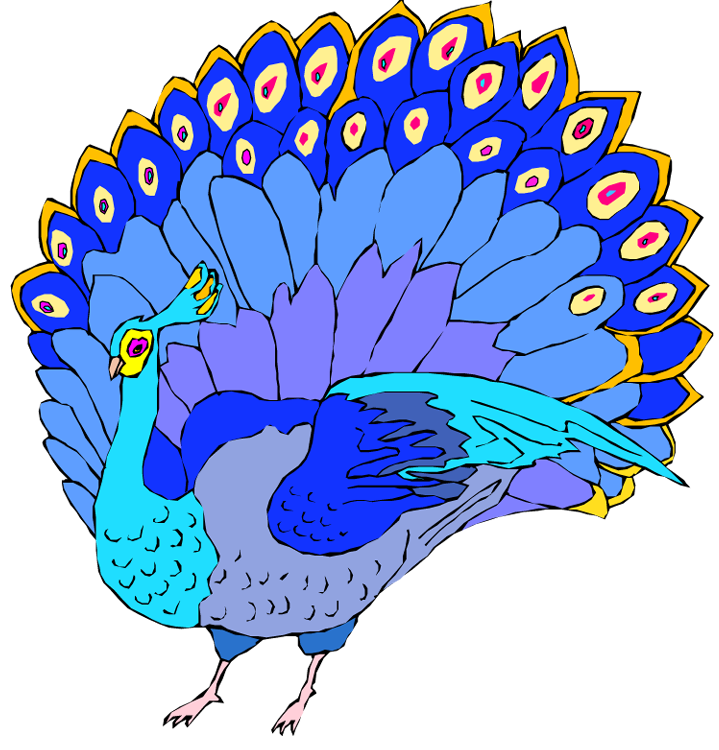 Free peacock clipart 6