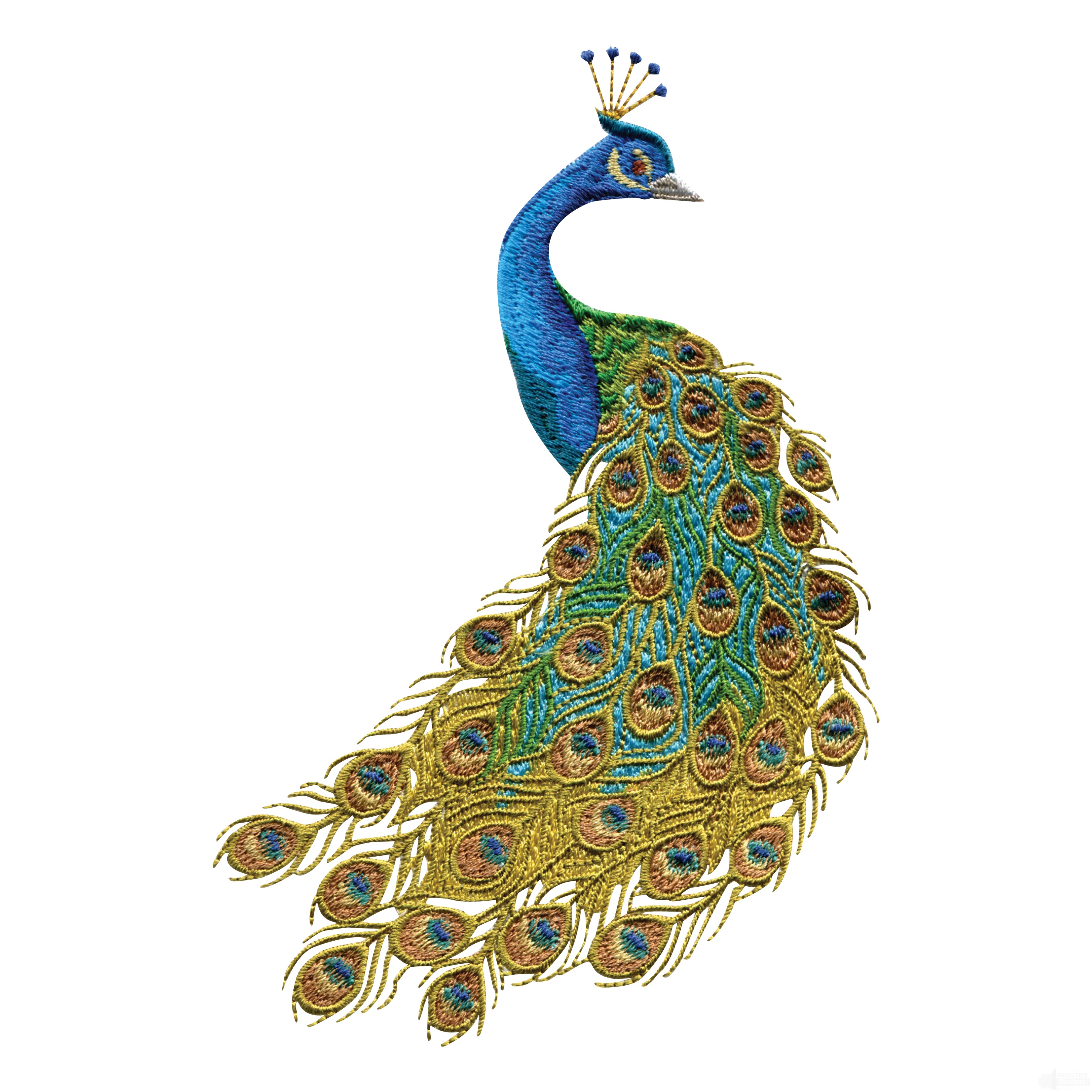 Free peacock clipart the cliparts clipartix