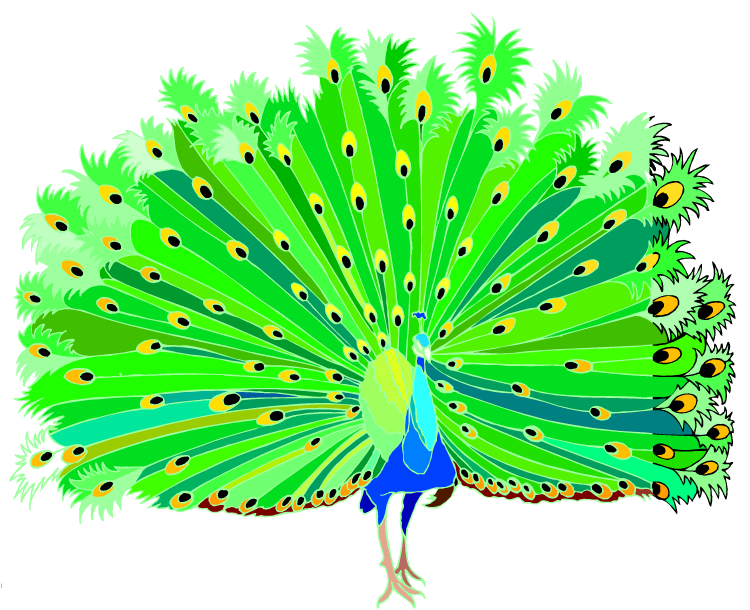 Free peacock clipart