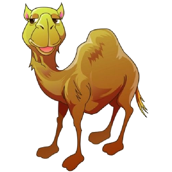 Funny camel clipart pictures 3