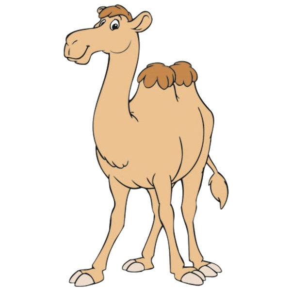 Funny camel clipart pictures