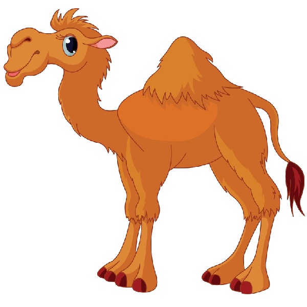Funny camel pictures clip art