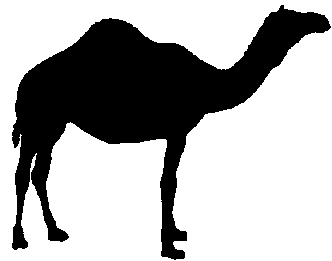Hump day camel clipart kid