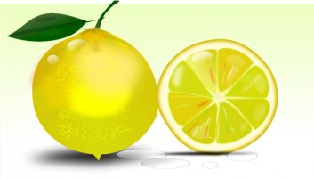 Lemon clip art 3 wikiclipart 2