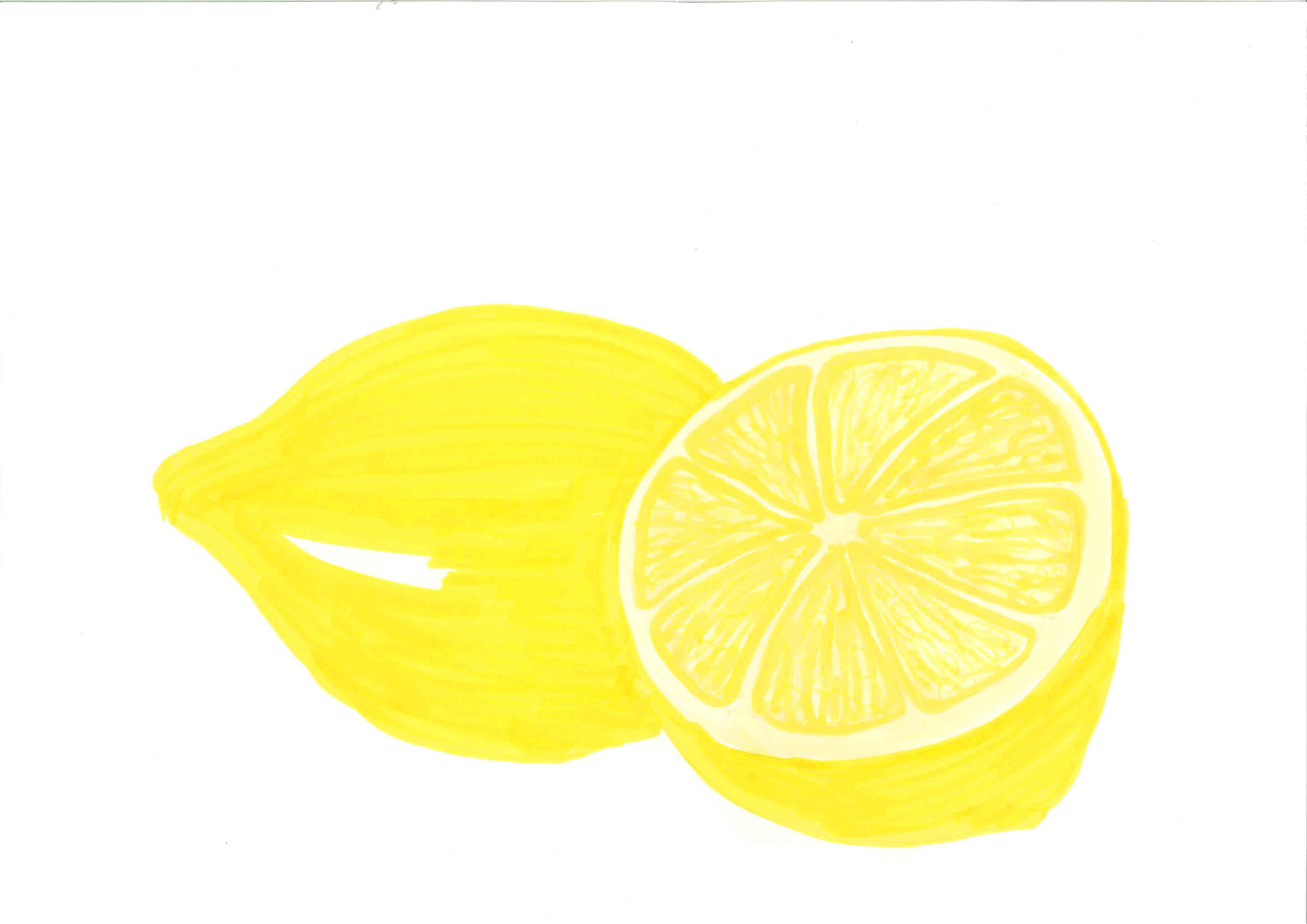 Lemon clip art 3