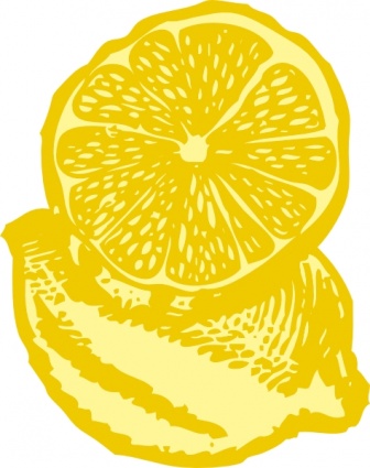 Lemon clip art free clipart images 2 wikiclipart