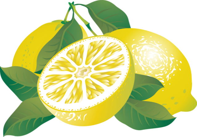 Lemon clip art fruit