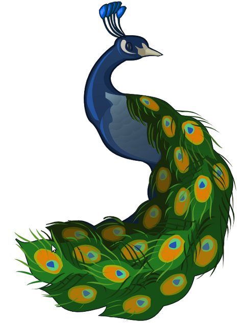 Peacock clip art clipart clipartix