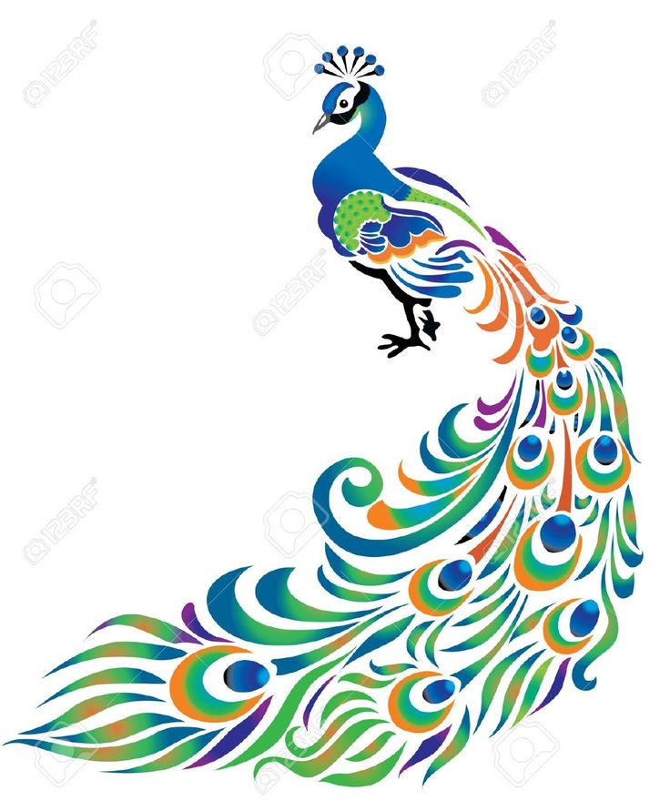 Peacock painting paintings and clip art on