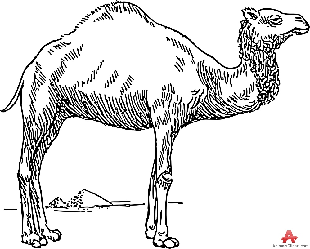Stencil design of camel clipart free download