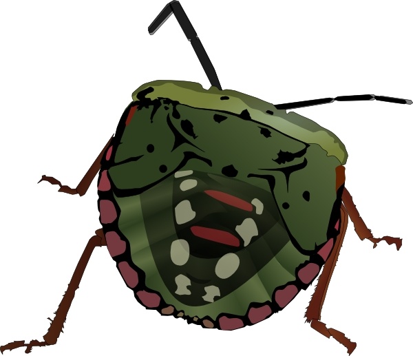 Stink bug clip art free vector in open office drawing svg