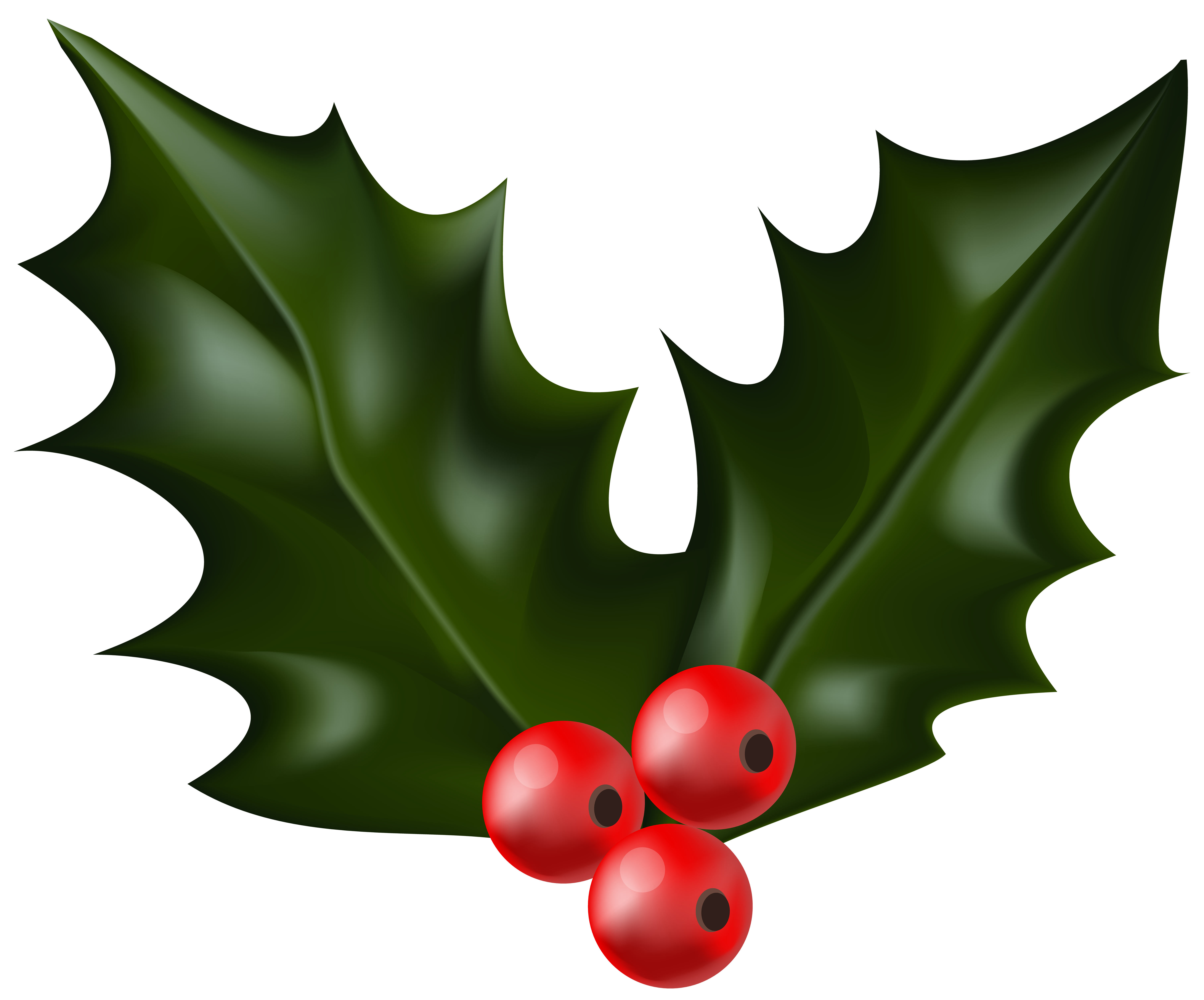 Christmas holly mistletoe clip art