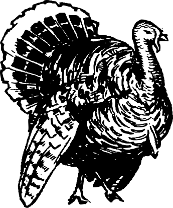 Turkey  black and white wild turkey clipart black and white clipartfest