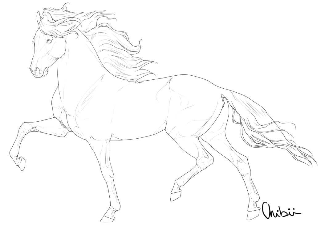0 images about horse lineart on arabian horses