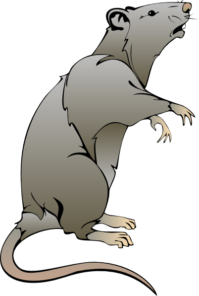 Cartoon rat drawings rat clip art handz