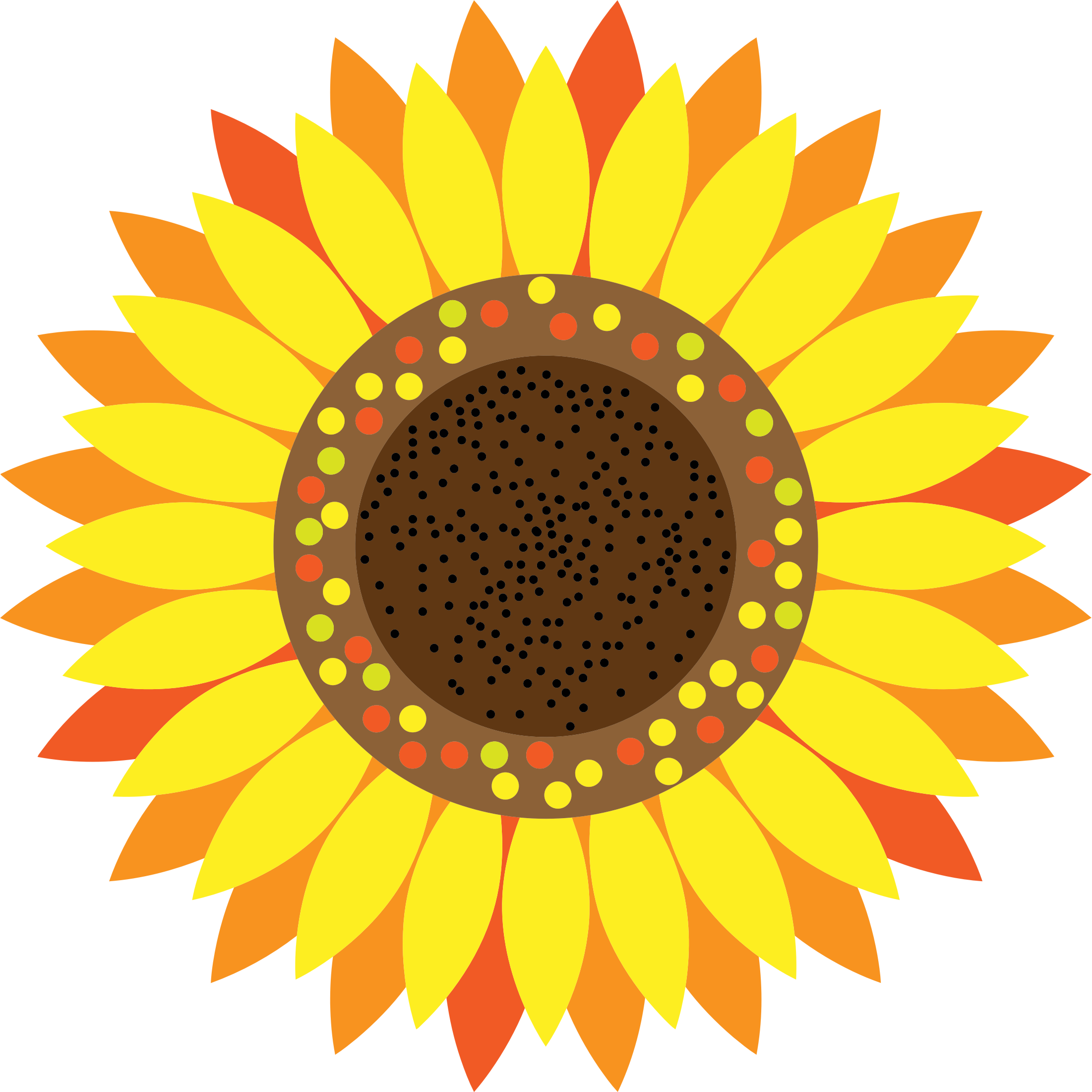 Clip art sunflower stonetire free images