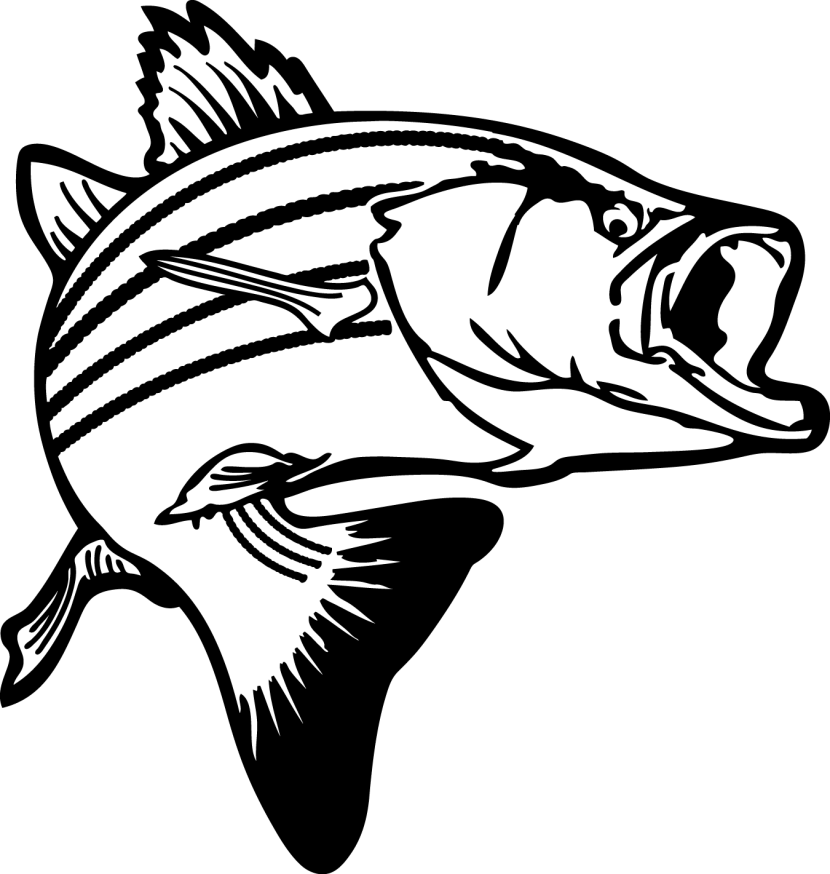 Fish  black and white bass fish clipart black and white clipartfest