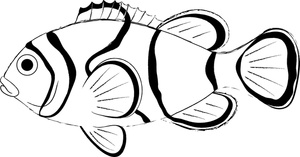 Fish  black and white clown fish clip art black and white free clipart 2