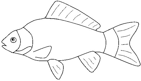 Fish  black and white fish outline clipart black and white 2