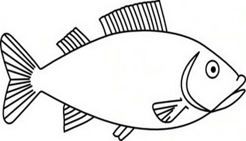Fish  black and white fish outline clipart black and white