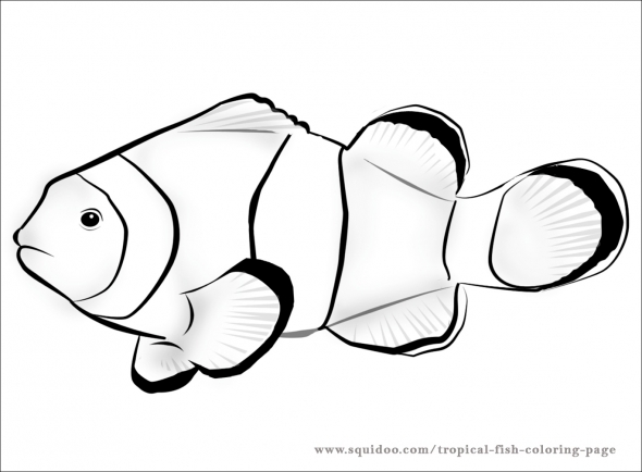 Fish  black and white nemo fish clipart black and white clipartninja
