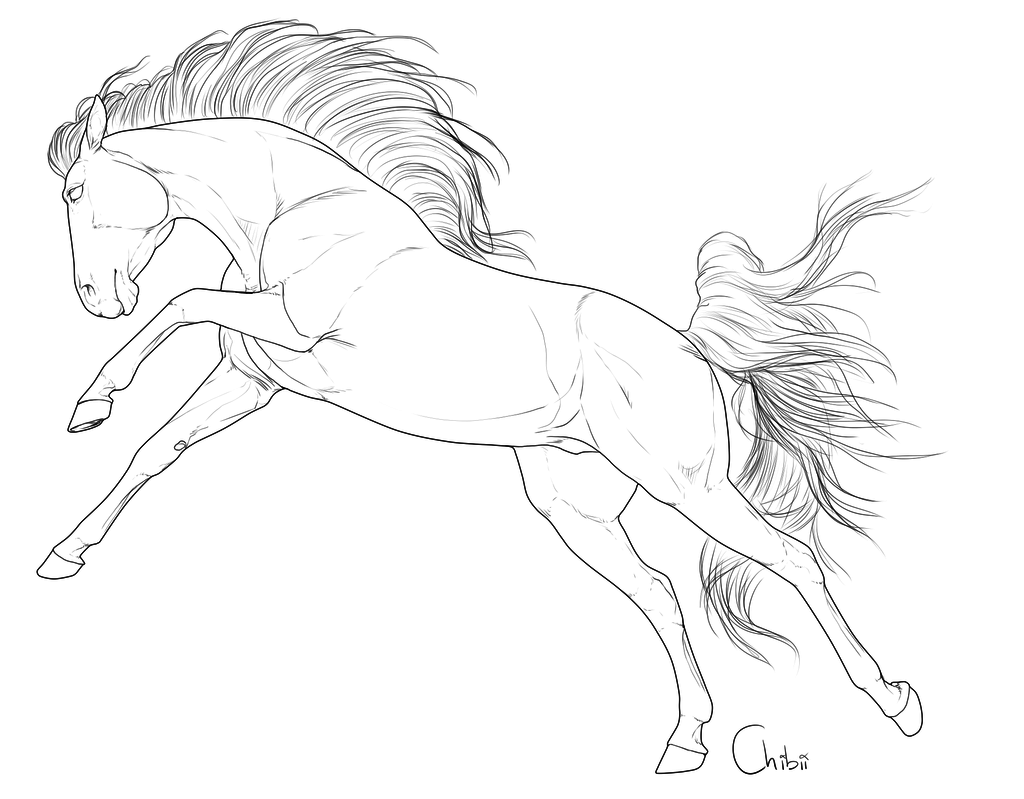 Free horse lineart by bh stables on deviantart