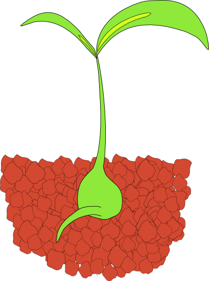 Free plant clipart graphics of plants 2