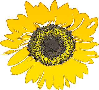 Free sunflower clipart public domain flower clip art images and 2