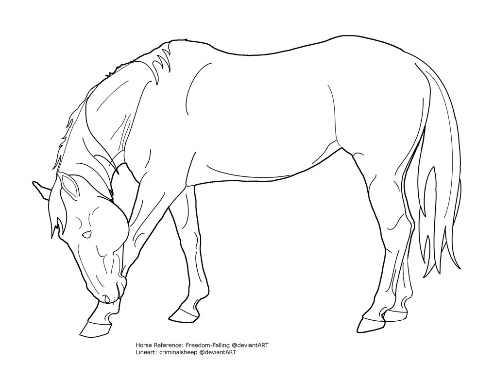 Horse lineart 0 images about horse line art how to on tack 3