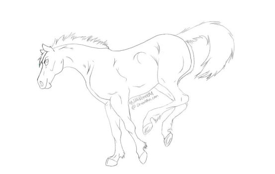Horse lineart equine lineart favourites by emgeal on deviantart 2