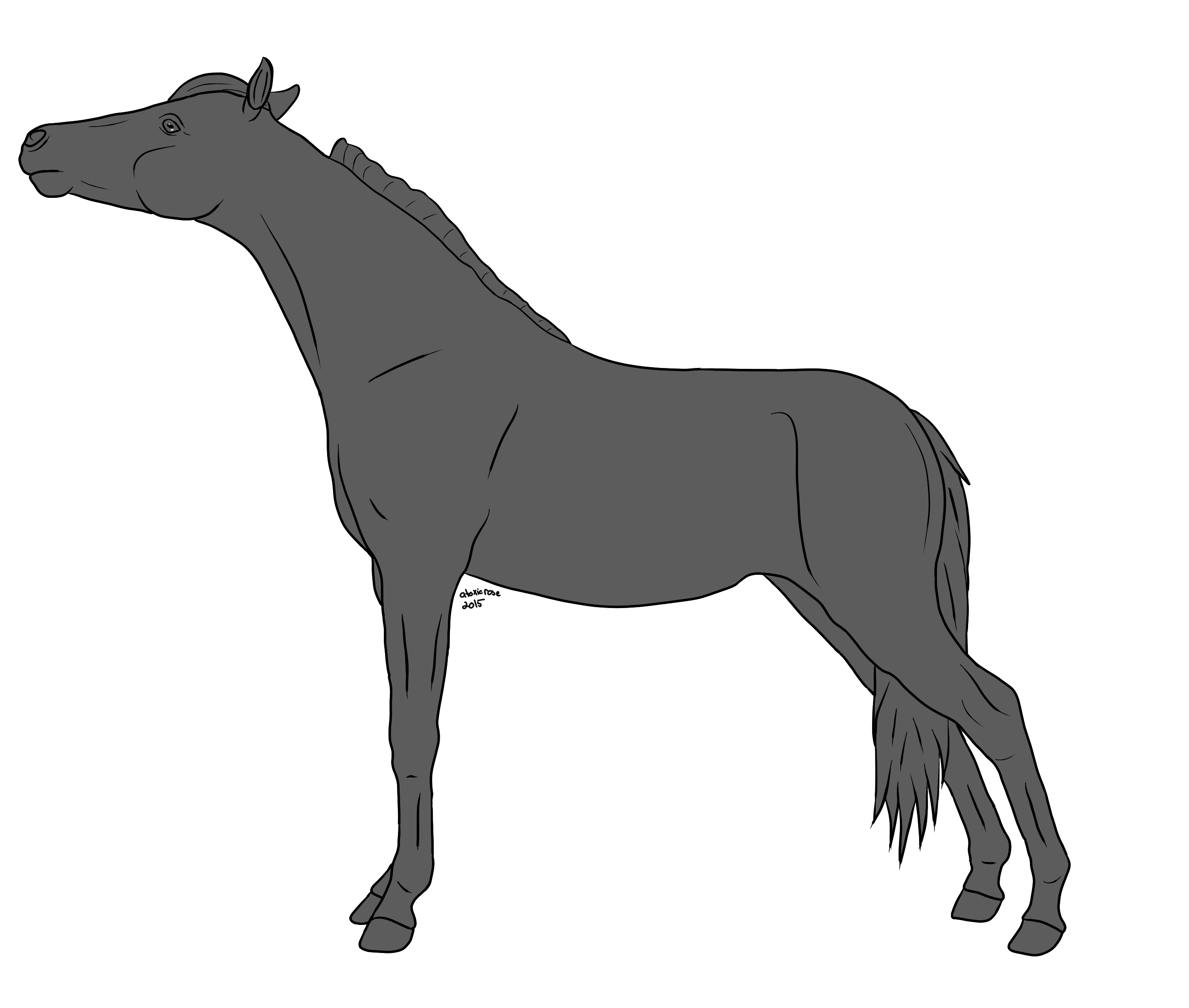 Horse lineart greyscale on equinelineart deviantart