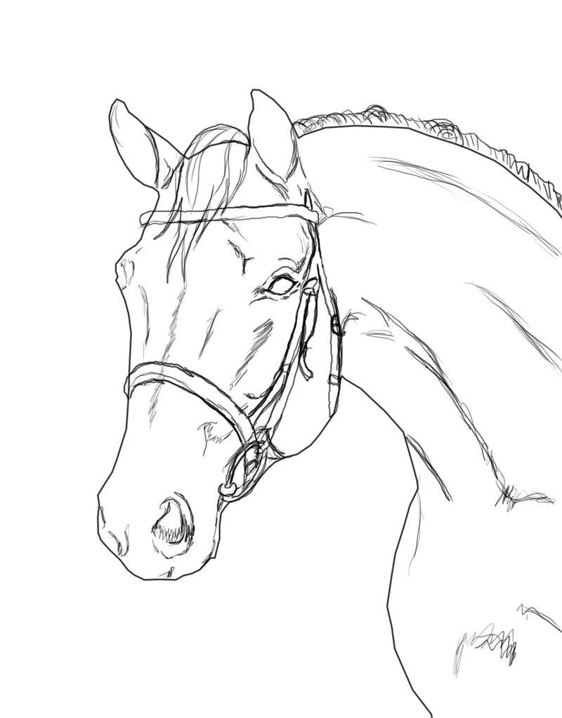 Horse lineart horses with tack and riders on equinelineart deviantart 2