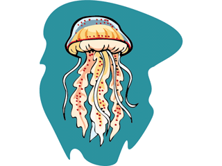 Jellyfish animated images s pictures clip art