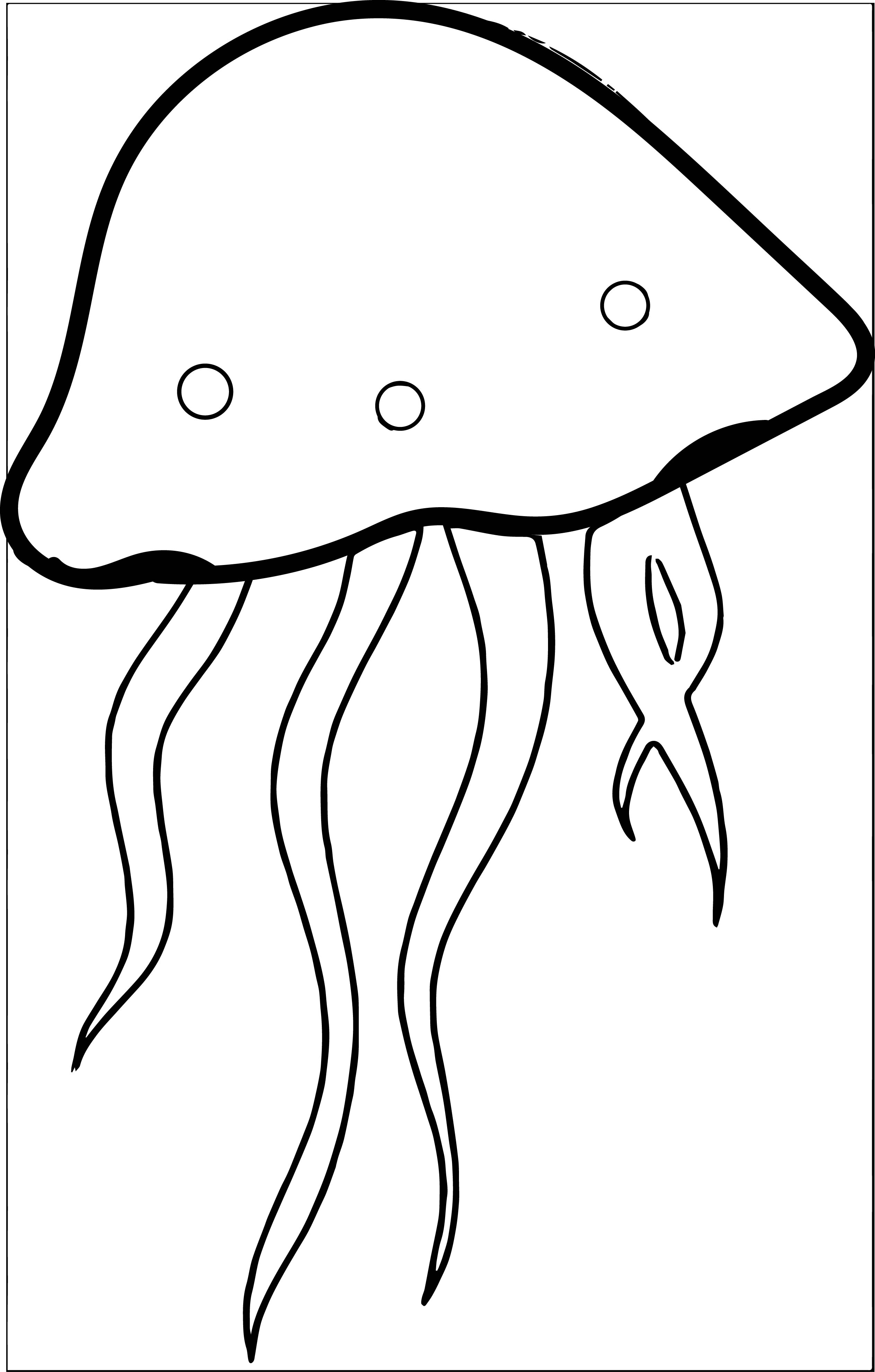 Jellyfish clipart black and white jelly fish